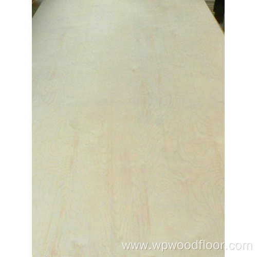 Full poplar plywood B/C grade poplar core